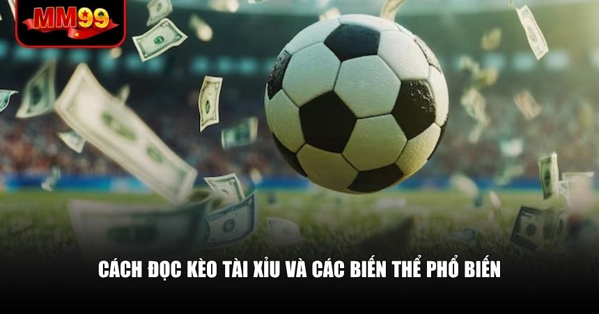 Cách đọc kèo Tài Xỉu và các biến thể phổ biến