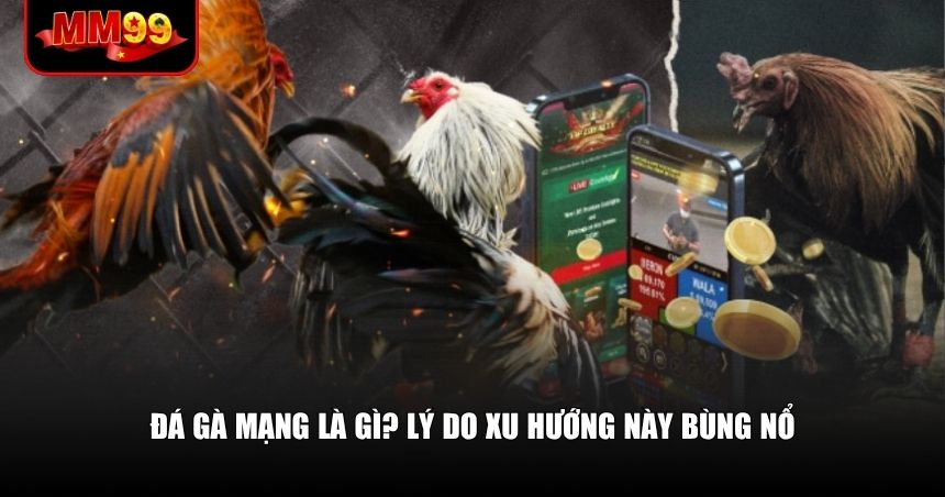 Đá gà mạng đã trở thành lựa chọn hàng đầu cho các sư kê thời hiện đại