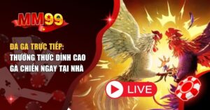 Đá gà trực tiếp