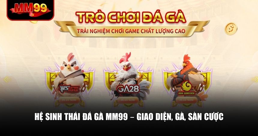 Đá Gà MM99 – Trải Nghiệm Cá Cược Đá Gà Trực Tuyến Thông Minh 1 Cách MM99 thiết kế hệ thống đá gà và trải nghiệm người dùng