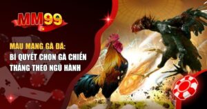 màu mạng gà đá