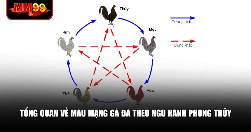 Tổng quan về màu mạng gà đá theo ngũ hành phong thủy