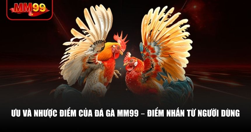Đá Gà MM99 – Trải Nghiệm Cá Cược Đá Gà Trực Tuyến Thông Minh 2 Đánh giá trực quan từ chính trải nghiệm thực tế tại đá gà MM99